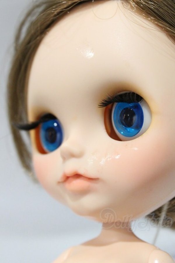 画像8: ネオブライス/本体のみ S-25-12-14-016-YB-ZS (8)