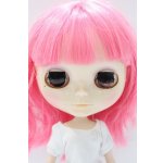 画像: ネオブライス/本体のみ S-25-12-14-027-YB-ZS