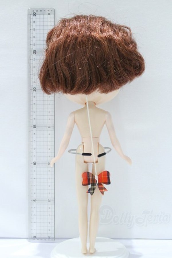 画像6: ネオブライス/本体のみ S-25-12-14-024-YB-ZS (6)