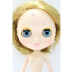 画像: ネオブライス/本体のみ S-25-12-14-022-YB-ZS