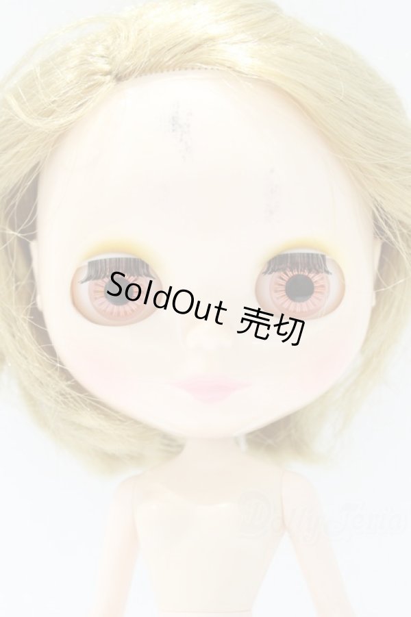 画像3: ネオブライス/本体のみ S-25-12-14-022-YB-ZS (3)