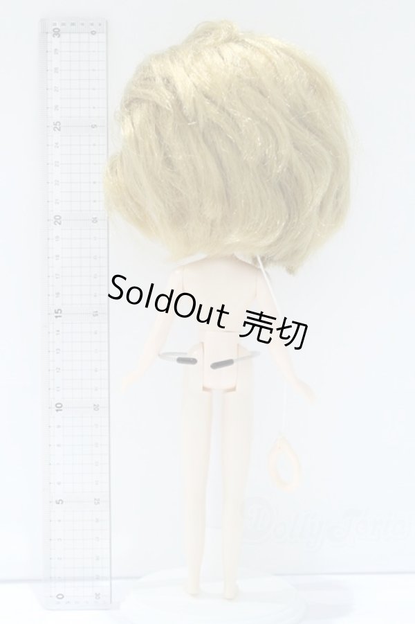 画像6: ネオブライス/本体のみ S-25-12-14-022-YB-ZS (6)