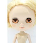 画像: ネオブライス/本体のみ S-25-12-14-020-YB-ZS