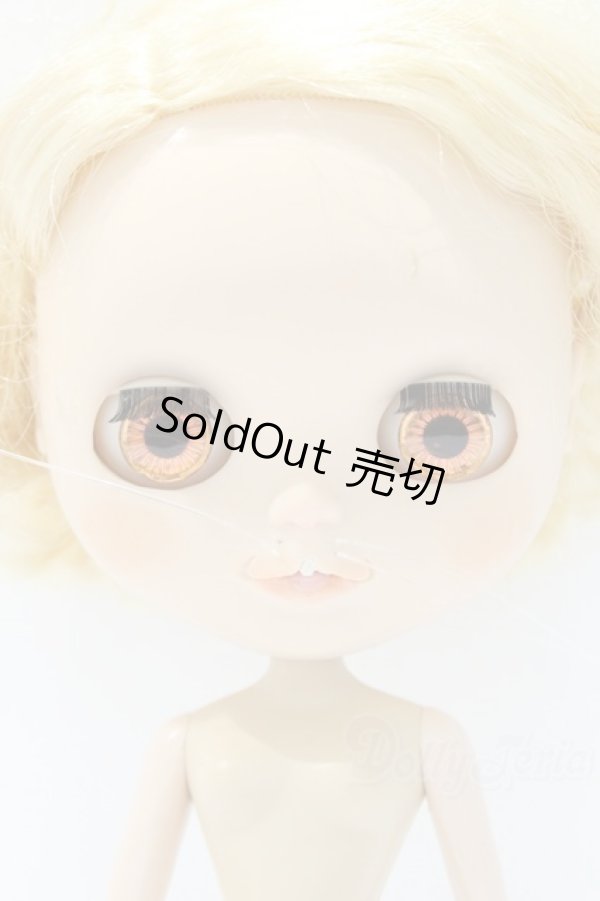 画像1: ネオブライス/本体のみ S-25-12-14-020-YB-ZS (1)