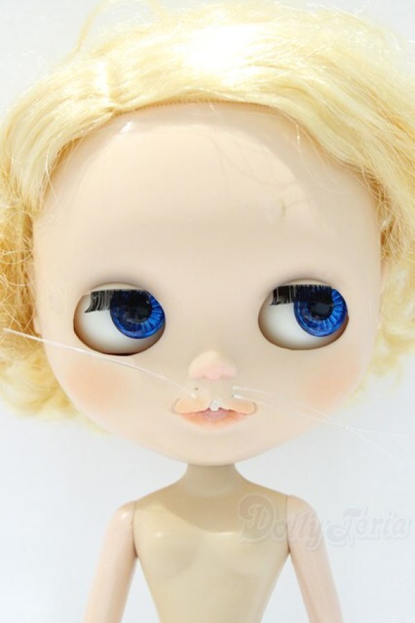 画像2: ネオブライス/本体のみ S-25-12-14-020-YB-ZS (2)