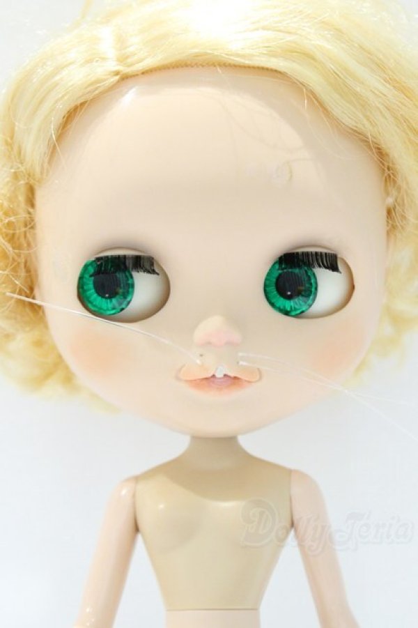 画像4: ネオブライス/本体のみ S-25-12-14-020-YB-ZS (4)