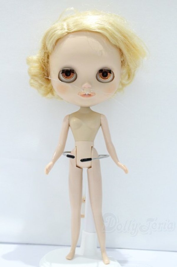 画像5: ネオブライス/本体のみ S-25-12-14-020-YB-ZS (5)