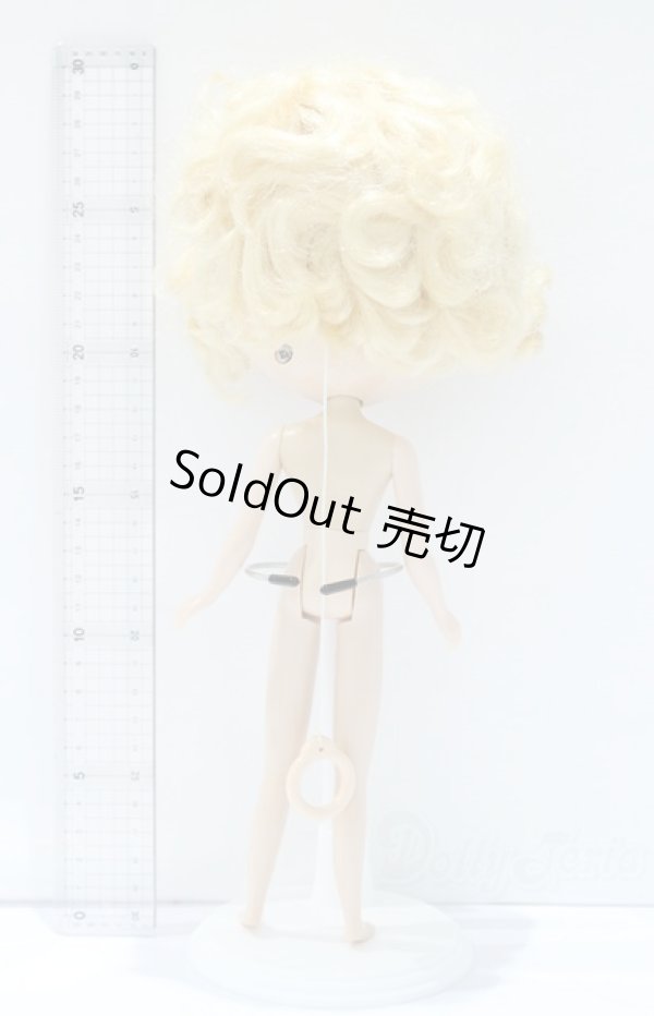 画像6: ネオブライス/本体のみ S-25-12-14-020-YB-ZS (6)