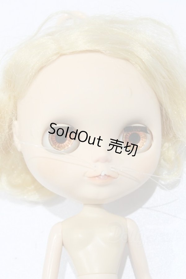 画像7: ネオブライス/本体のみ S-25-12-14-020-YB-ZS (7)