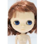 画像: ネオブライス/本体のみ S-25-12-14-017-YB-ZS