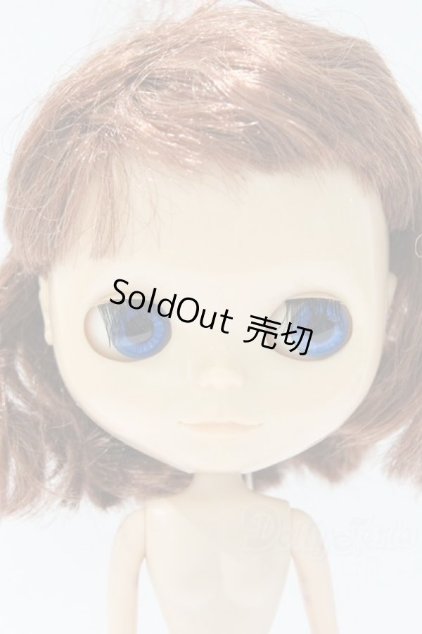 画像1: ネオブライス/本体のみ S-25-12-14-017-YB-ZS (1)