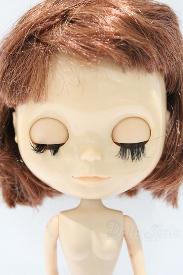 画像5: ネオブライス/本体のみ S-25-12-14-017-YB-ZS (5)