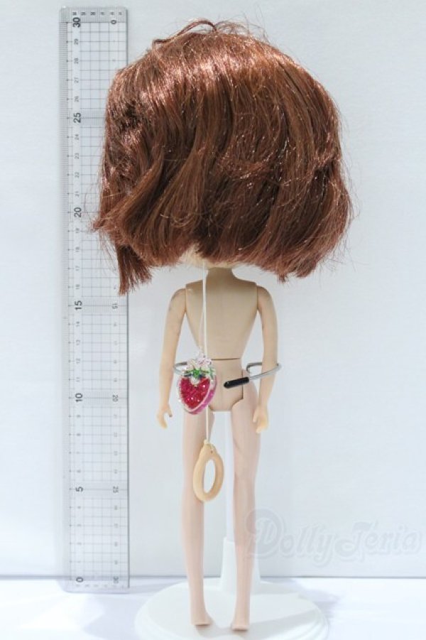 画像7: ネオブライス/本体のみ S-25-12-14-017-YB-ZS (7)