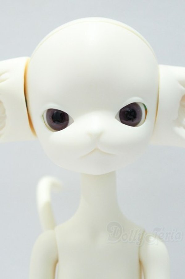 画像1: Dollzone/Miss Kitty S-25-12-14-005-SK-ZS (1)