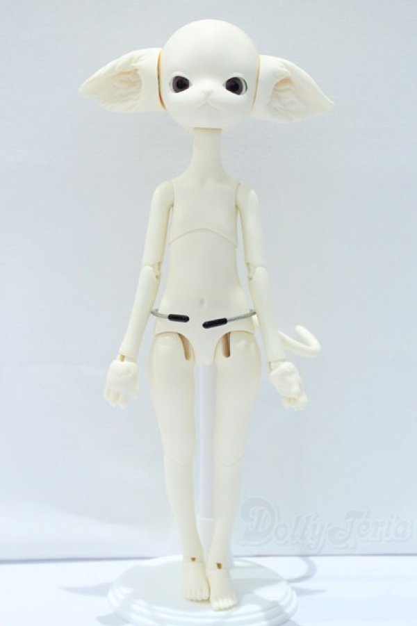 画像5: Dollzone/Miss Kitty S-25-12-14-005-SK-ZS (5)