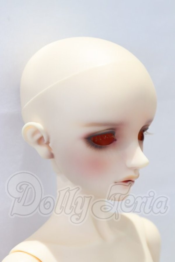 画像2: SD/リゲル 星間学寮Ver. S-26-03-01-052-SK-ZS (2)