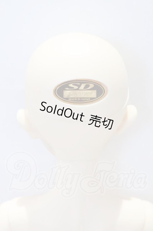 画像6: SD/リゲル 星間学寮Ver. S-26-03-01-052-SK-ZS (6)