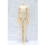 画像: SD男の子ボディ S-25-12-21-054-SK-ZS