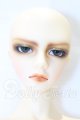 画像: SD17BOY/ウィリアムズ 〜the young Ensign〜 S-26-05-03-056-SK-ZS