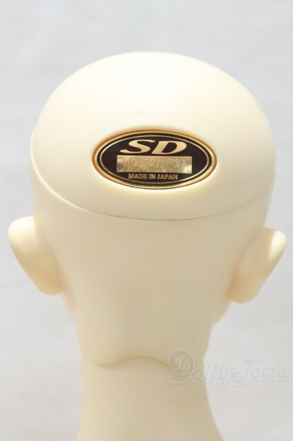 画像4: SD17BOY/ウィリアムズ 〜the young Ensign〜 S-25-12-21-053-SK-ZS (4)