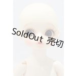 画像: LEEKEWORLD/Pumpkin S-25-12-21-052-SK-ZS