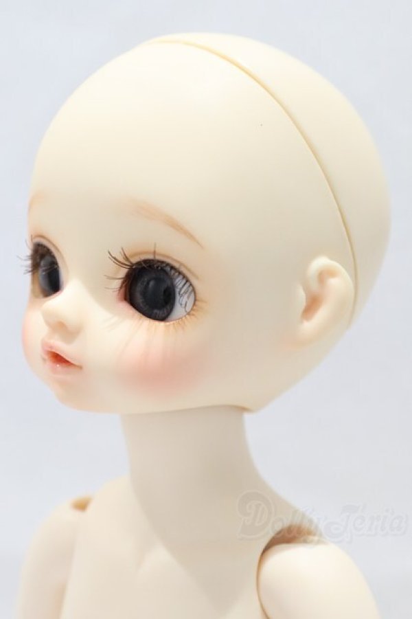 画像2: LEEKEWORLD/Pumpkin S-25-12-21-052-SK-ZS (2)