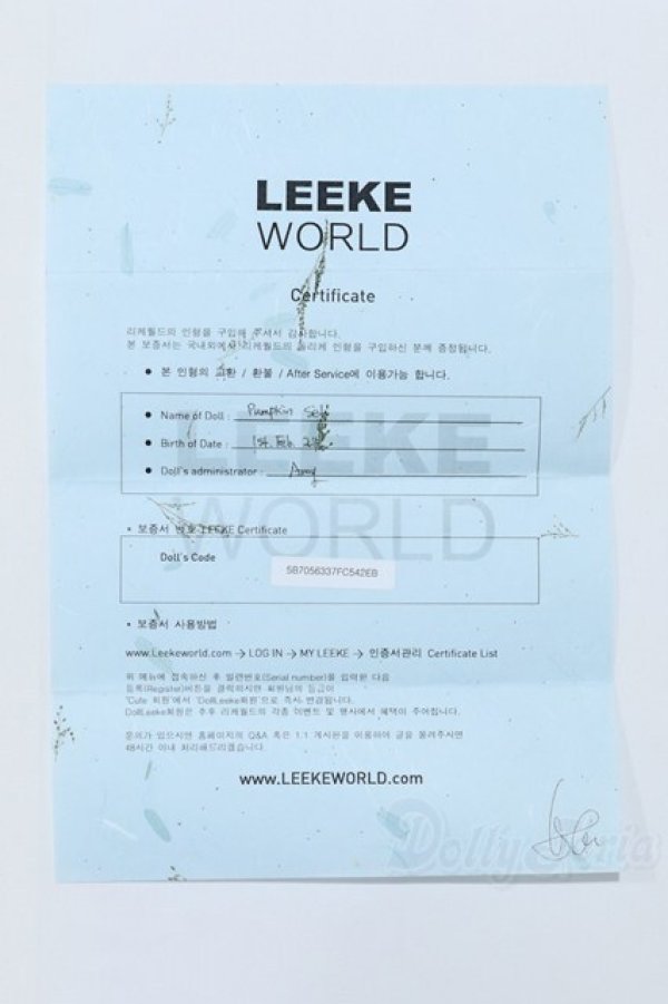 画像8: LEEKEWORLD/Pumpkin S-25-12-21-052-SK-ZS (8)