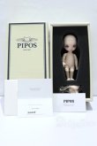 画像7: PIPOS DOLL/Jelly S-25-12-21-051-SK-ZS (7)
