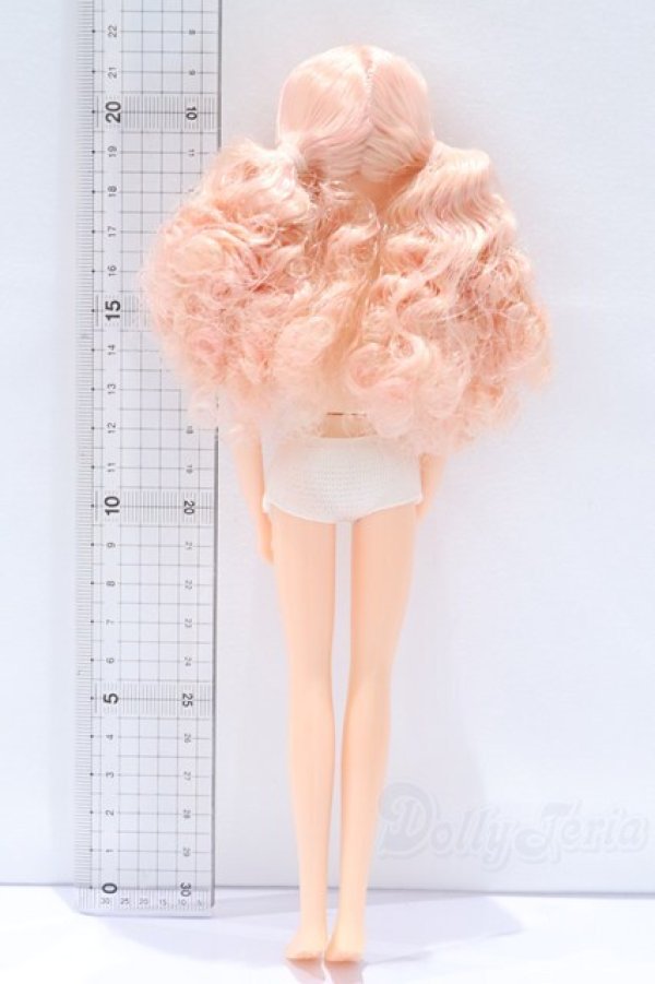 画像5: リカちゃんキャッスル/リカちゃん本体 S-25-12-21-064-YB-ZS (5)