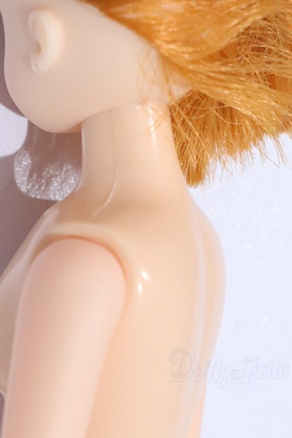 画像6: リカちゃんキャッスル/リカちゃん本体 S-25-12-21-065-YB-ZS (6)