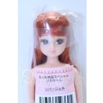 画像: リカちゃんキャッスル/リカちゃん本体 S-26-04-05-018-YB-ZS