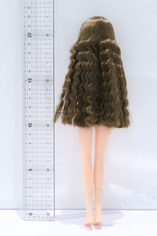 画像5: リカちゃんキャッスル/リカちゃん本体 S-25-12-21-095-YB-ZS (5)