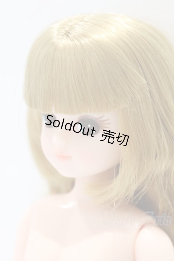 画像2: リカちゃんキャッスル/リカちゃん本体 S-25-12-21-094-YB-ZS (2)