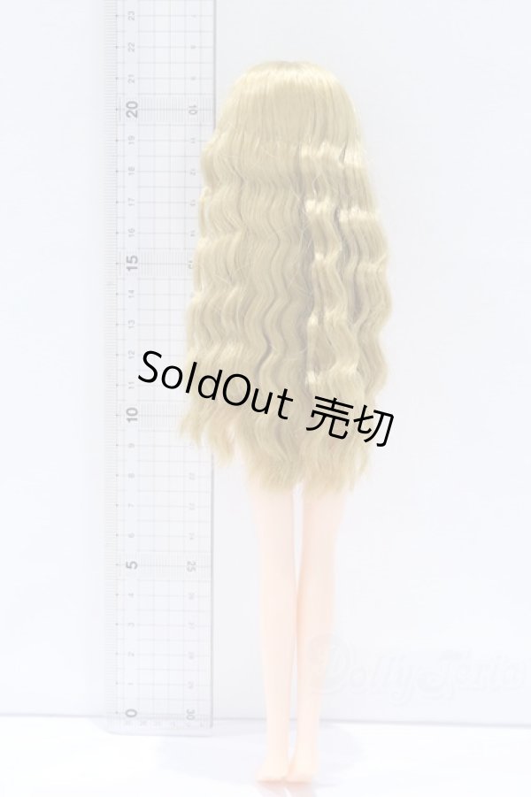 画像5: リカちゃんキャッスル/リカちゃん本体 S-25-12-21-094-YB-ZS (5)