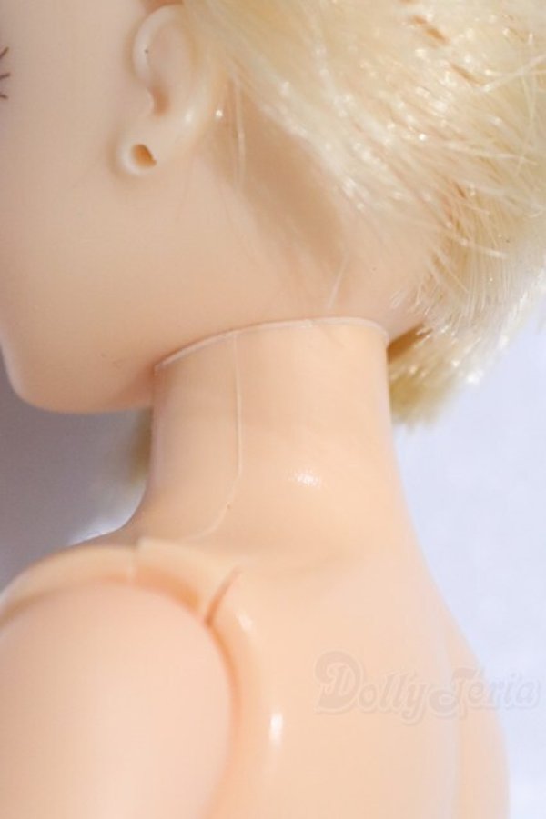 画像7: リカちゃんキャッスル/リカちゃん本体 S-25-12-21-091-YB-ZS (7)