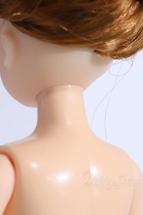 画像6: リカちゃんキャッスル/リカちゃん本体 S-25-12-21-076-YB-ZS (6)