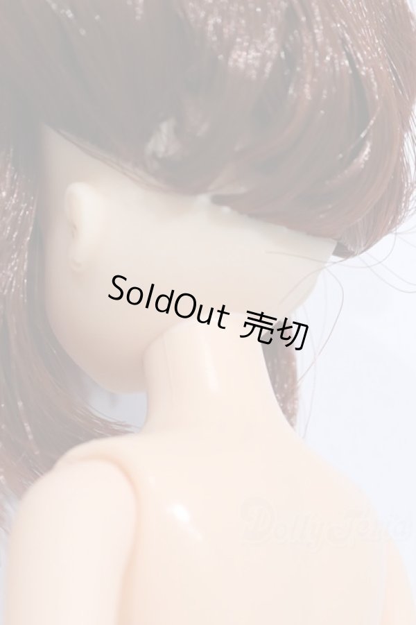 画像6: リカちゃんキャッスル/リカちゃん本体 S-25-12-21-075-YB-ZS (6)