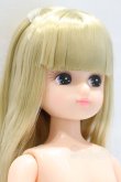 画像3: リカちゃんキャッスル/リカちゃん本体 S-25-12-21-073-YB-ZS (3)