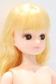 画像3: リカちゃんキャッスル/リカちゃん本体 S-25-12-21-082-YB-ZS (3)