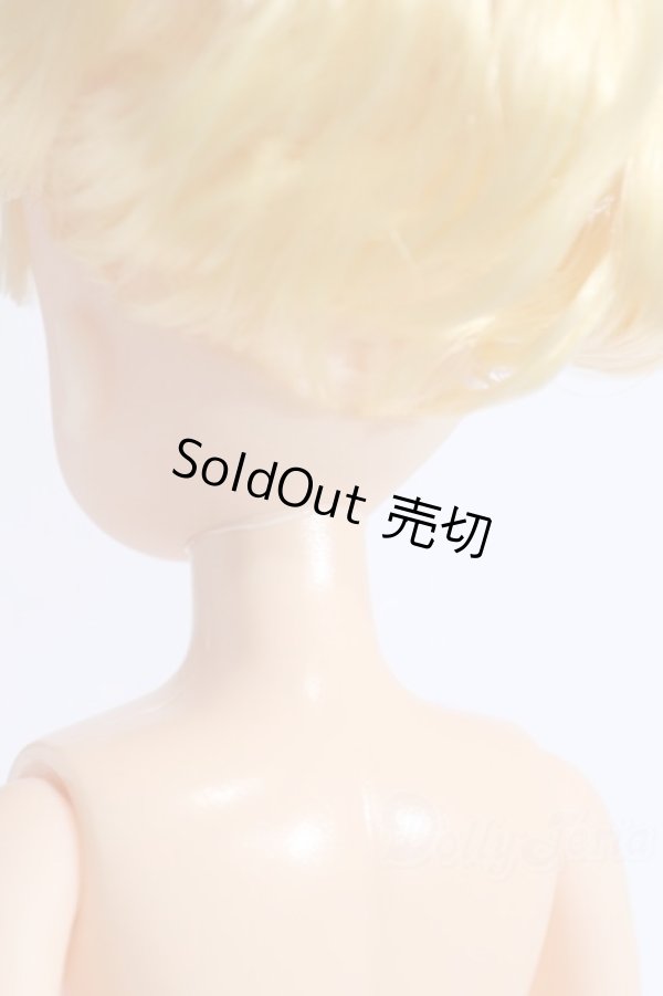 画像6: リカちゃんキャッスル/リカちゃん本体 S-25-12-21-082-YB-ZS (6)