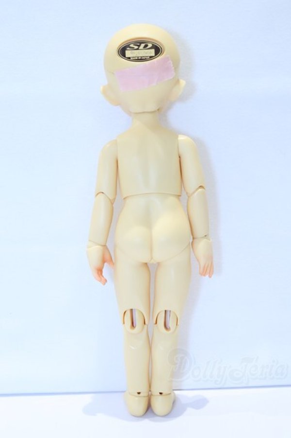 画像6: 幼SD/千夏 S-25-12-28-016-SK-ZS (6)