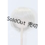 画像: 9-10inch/ウィッグ S-26-05-31-629-SK-ZS