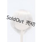 画像: 9-10inch/ウィッグ S-26-02-15-049-SK-ZS
