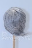 画像2: 8-9inch/ウィッグ S-26-03-22-044-SK-ZS (2)