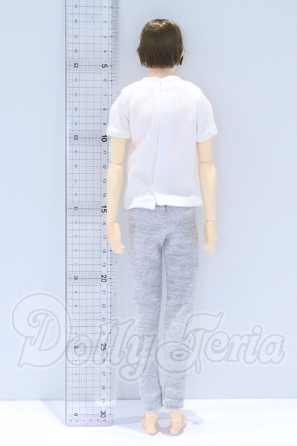 画像3: petworks/六分の一男子図鑑 ナインB1908 S-26-08-23-020-SK-ZS (3)