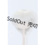 画像: 9-10inch/ウィッグ S-26-05-31-628-SK-ZS