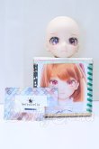 画像5: DD/DDH-09 Melty Stella様カスタム S-26-05-03-059-SK-ZS (5)