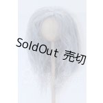 画像: 9-10inch/ウィッグ S-26-02-15-100-SK-ZS