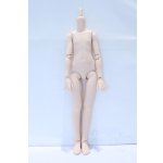 画像: MDD/一体型アセクシャルボディ S-26-01-04-001-YB-ZS