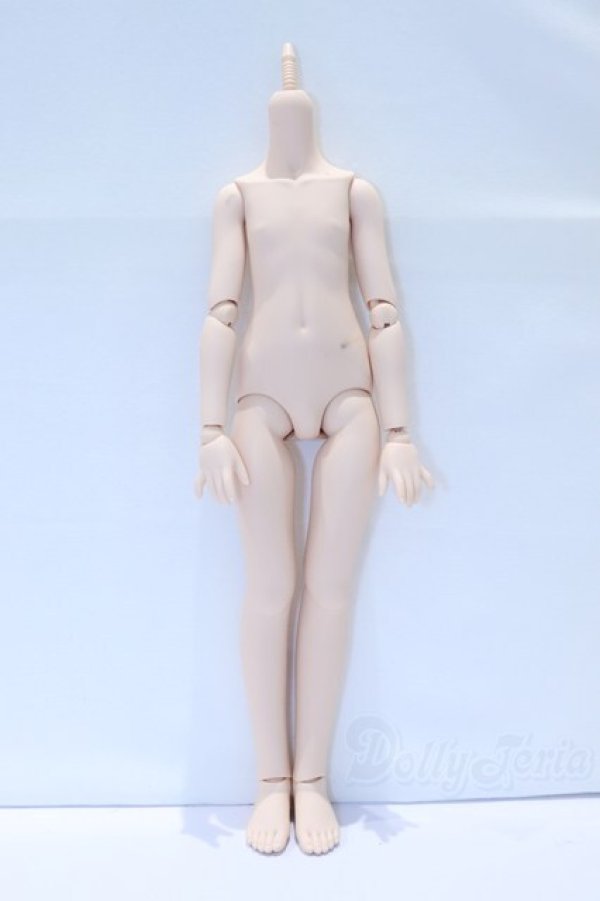 画像1: MDD/一体型アセクシャルボディ S-26-01-04-001-YB-ZS (1)